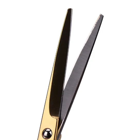 Škare za šišanje Barber Scissor 6" - Slika 1